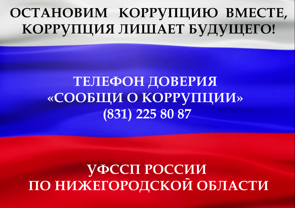 План противодействия коррупции в нижегородской области